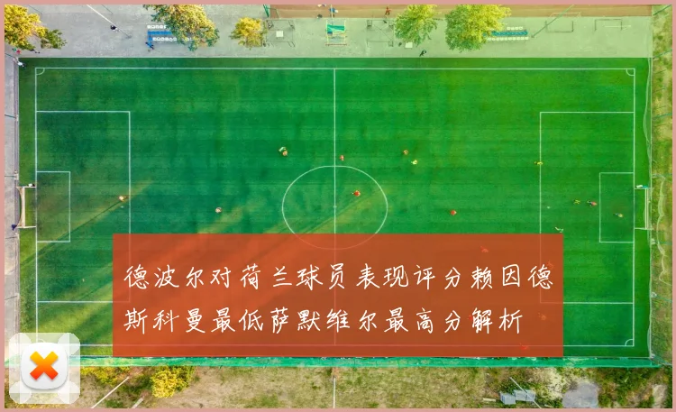 德波尔对荷兰球员表现评分赖因德斯科曼最低萨默维尔最高分解析