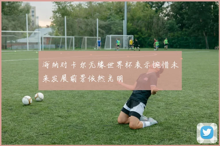 海纳对卡尔无缘世界杯表示惋惜未来发展前景依然光明